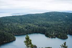 can i take a daytrip seattle from a destination?