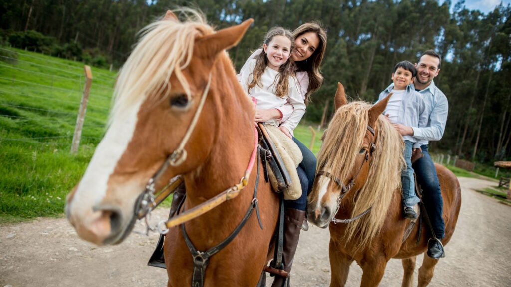 what are affordable family spring break destinations on a budget?