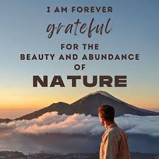 how can i use nature travel quotes in my daily life?