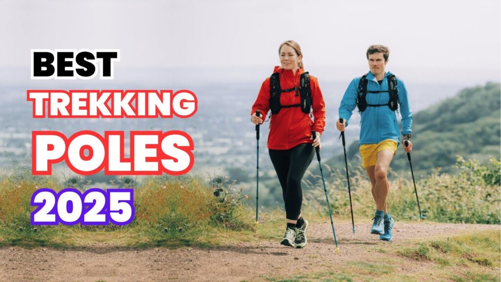 how much the best trekking poles basically cost?
