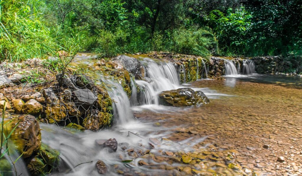 how can i find the best tourist attractions near me?