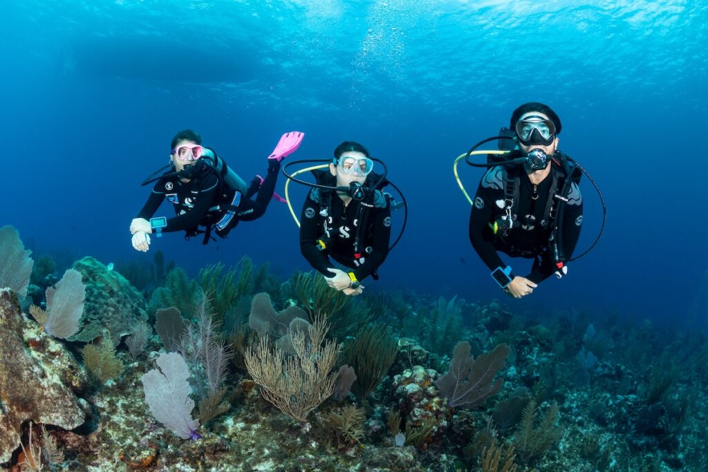 which are the best scuba diving in the world?