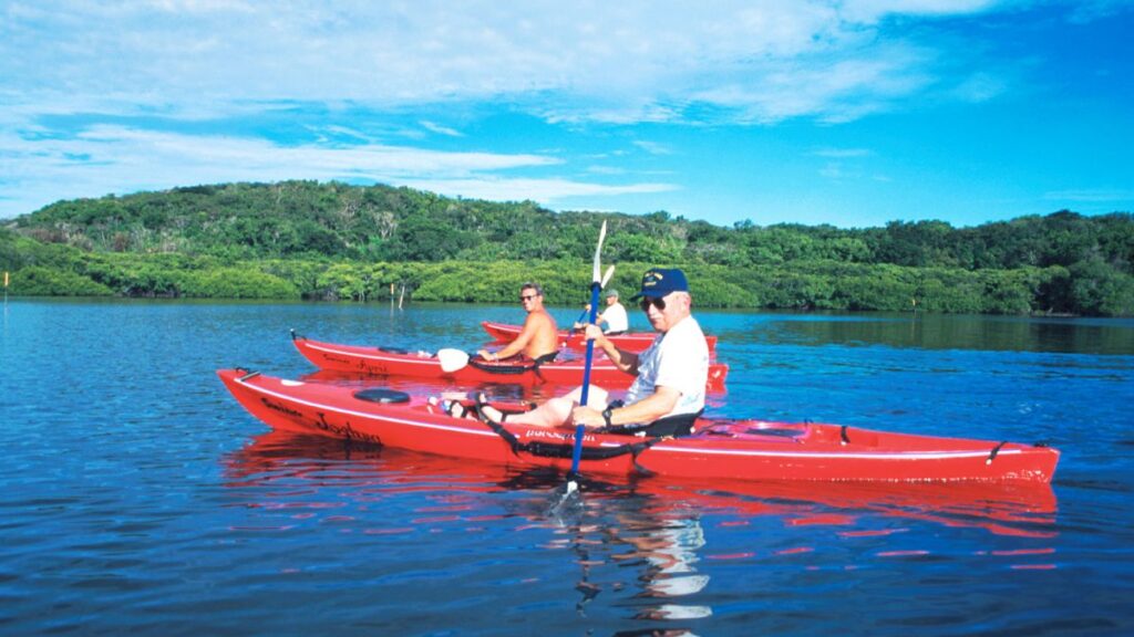 what usually happens on kayak tours near me?
