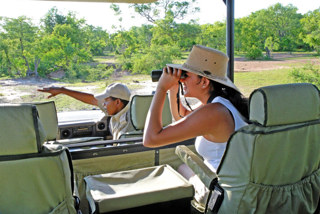 what are types of safari tour guide?