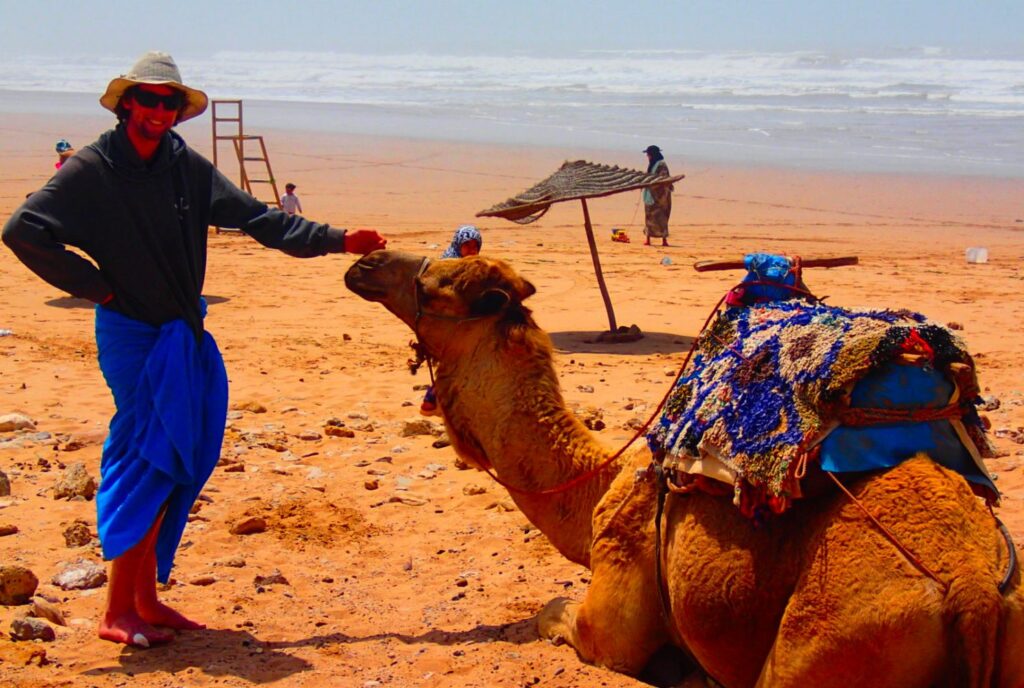 discuss what is a traveller?