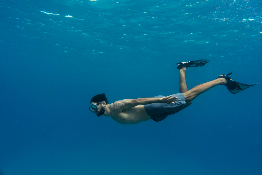 what is free diving and how much it cost?