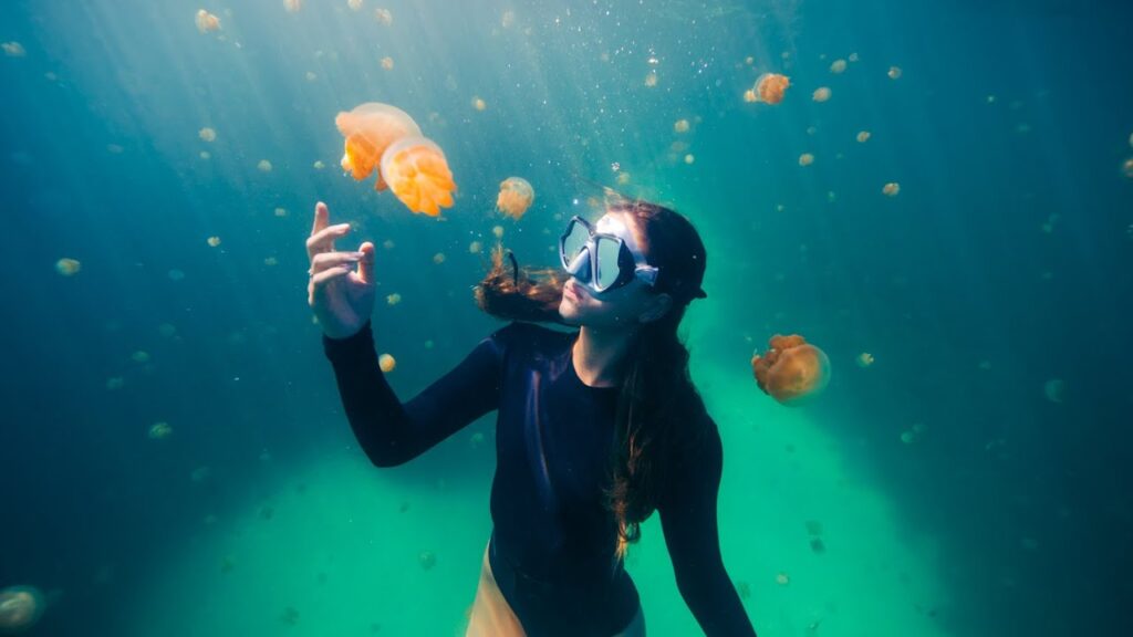 discuss what is free diving?