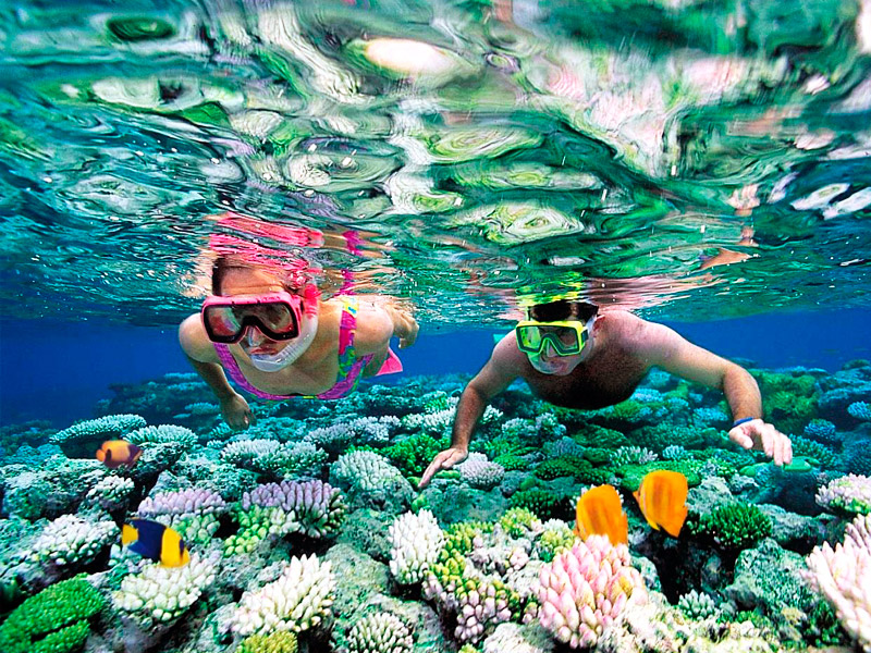 why is aruba snorkeling so popular?