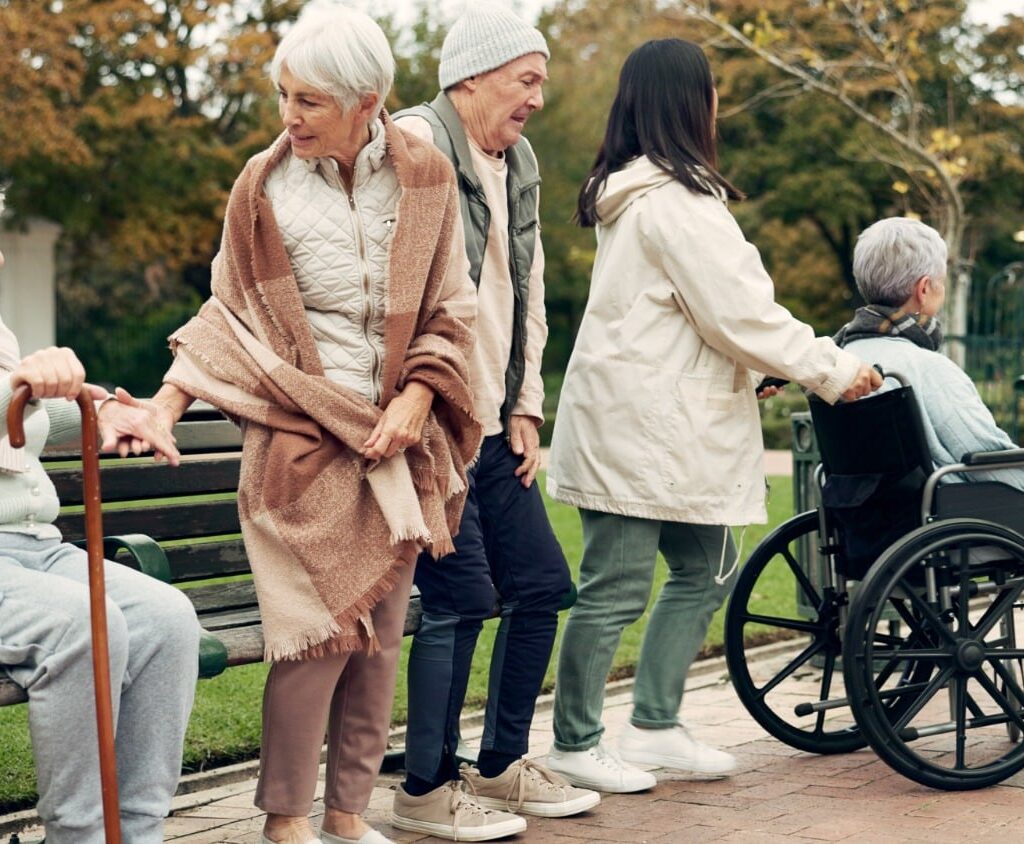 what are basic types of senior travel tours?