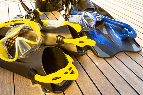 what are basic snorkeling gear?
