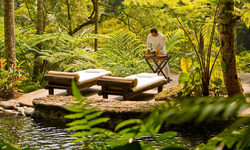 where one can go for wellness destinations?