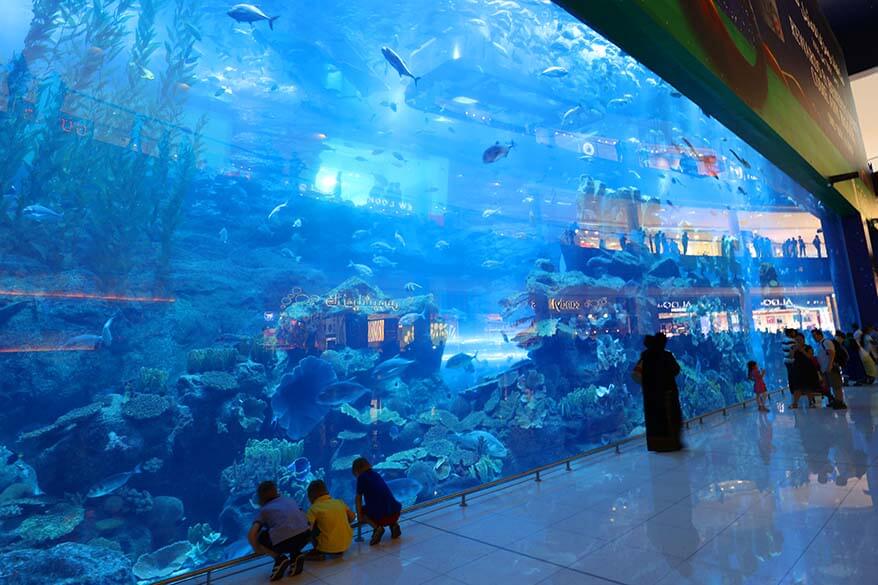 are cruises best option for good family vacation spots?
