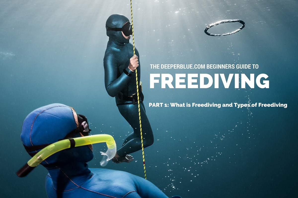 describe in detail about what is free diving?