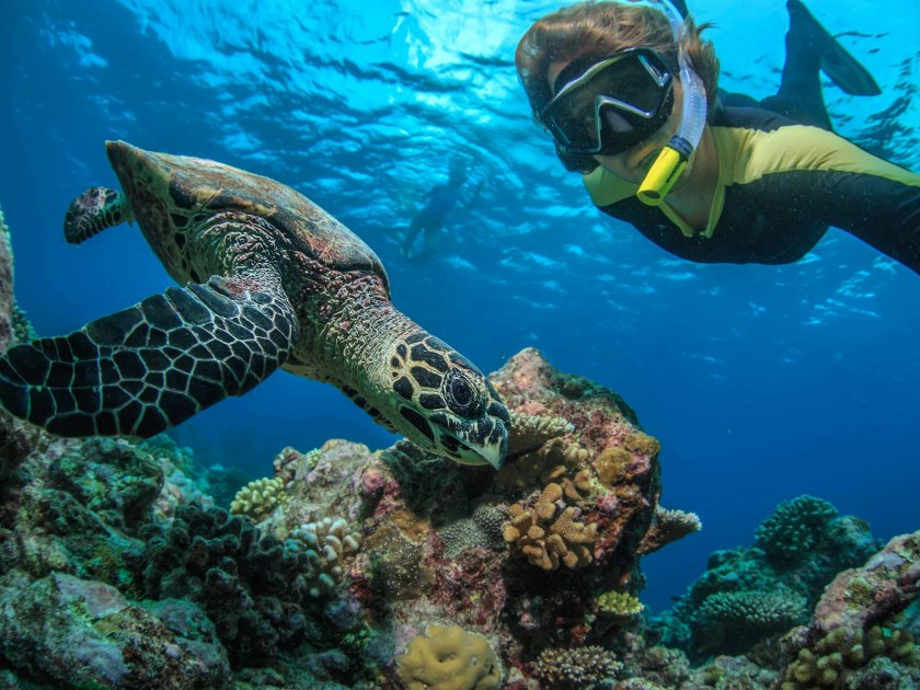 which adventures and activities does turtle bay oahu offers?